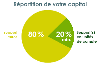 Répartition du capital à investir - investissement minimum en unités de compte 20%